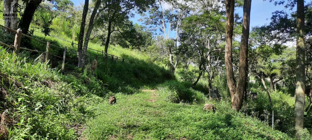 Sítio em , São Roque - Foto 15